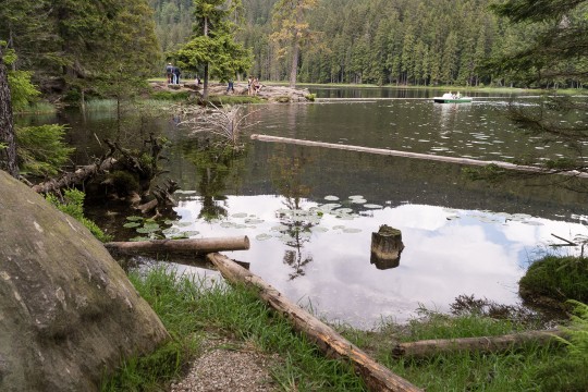 Arbersee Bayerischer Wald